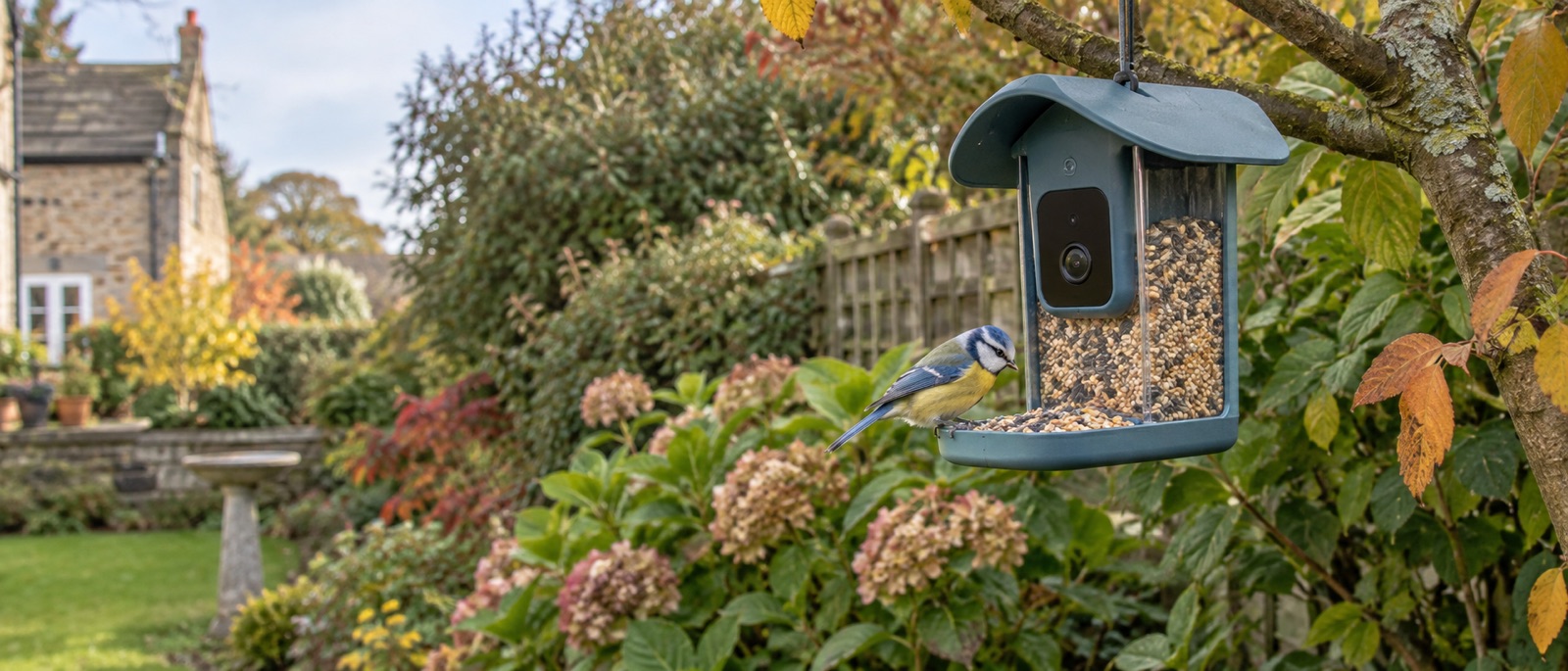 Illustrative camera bird feeder in an autumn garden with a visiting blue tit