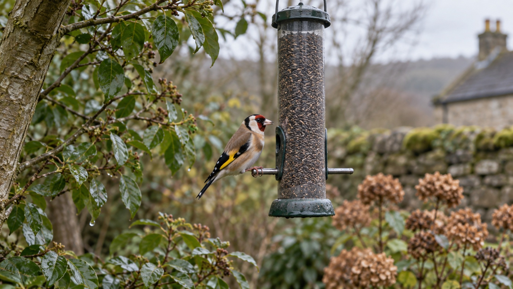 Illustrative goldfinch at a slim nyjer feeder in a British garden