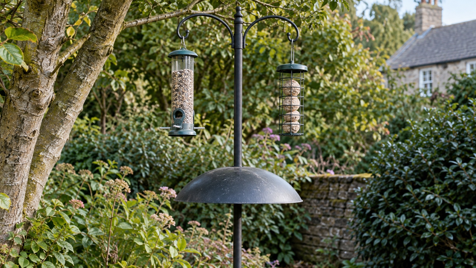 Illustrative guarded feeders and a dome baffle on a British garden pole